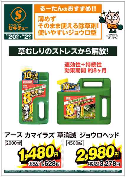 2026年5月20日〜6月2日までるーたんのおすすめ！！new-5
