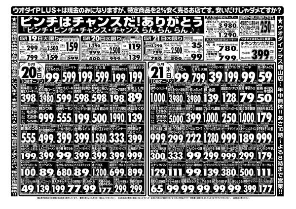最新チラシ-2