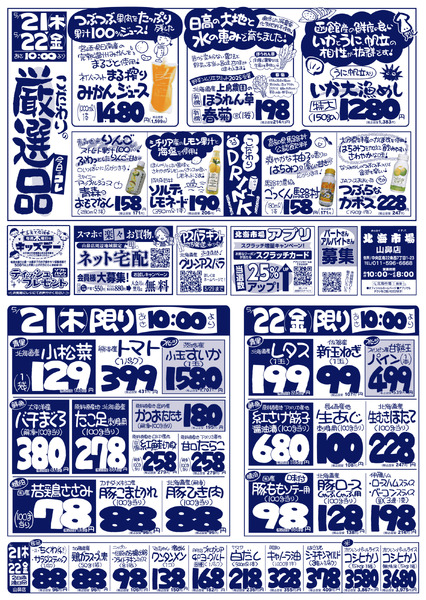 最新チラシnew-1