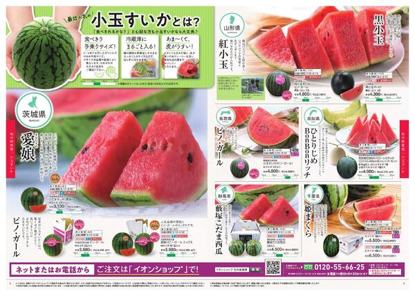 イオンショップ全国旬催事-5