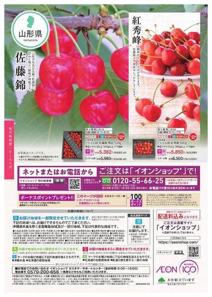 イオンショップ 全国旬の味覚便-7