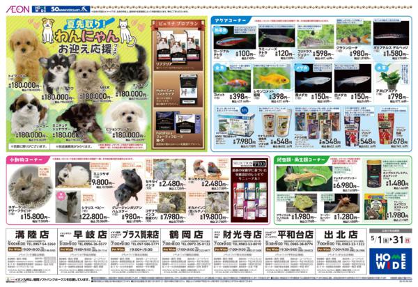 ５月１日（金）～５月３１日（日）new-2