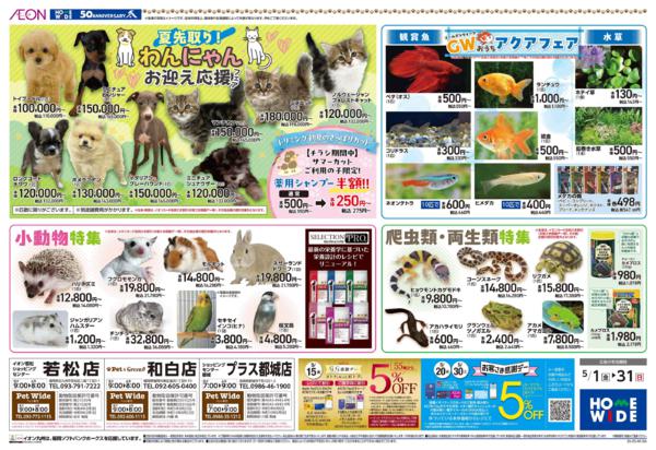 ５月１日（金）～５月３１日（日）-2