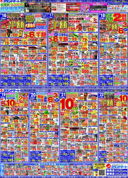 最新チラシnew-1