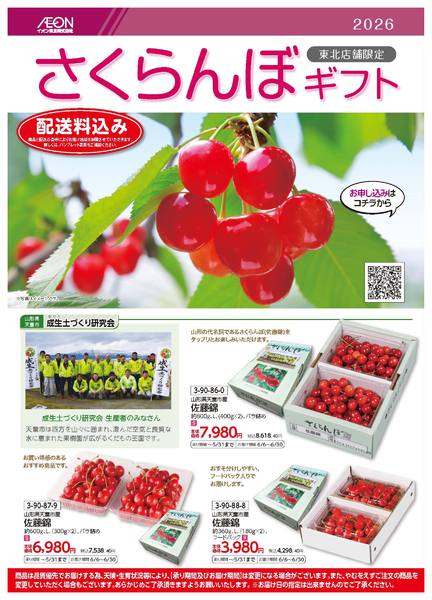 2026年3月24日〜5月31日まで2026さくらんぼギフト-1