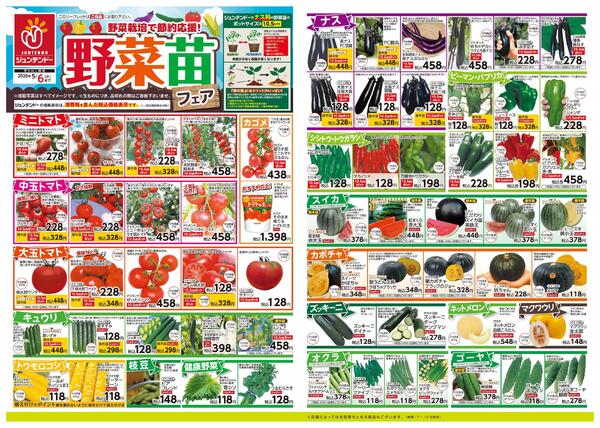 野菜苗フェア-1