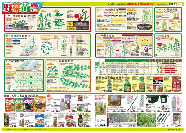 野菜苗フェア-2