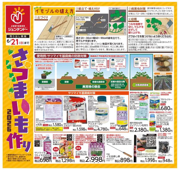 さつまいも作り-1