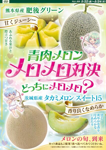 今日のチラシ-2