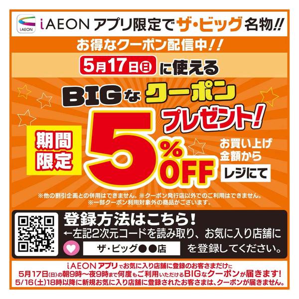 2026年5月17日限りBIGなクーポン配信中new-1