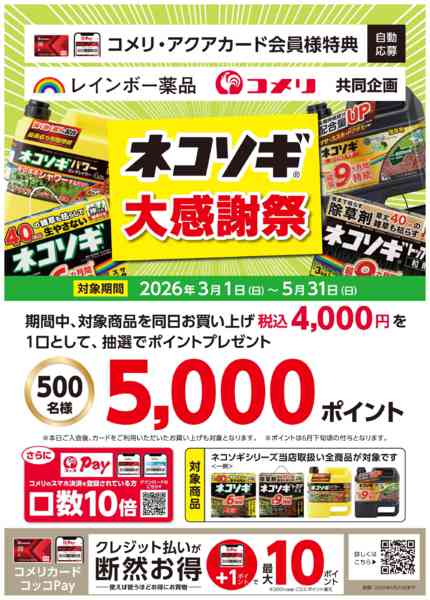 2026年3月30日〜5月31日までネコソギ大感謝祭-1