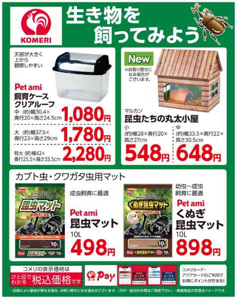 2026年5月17日〜7月31日まで生き物を飼ってみようnew-1
