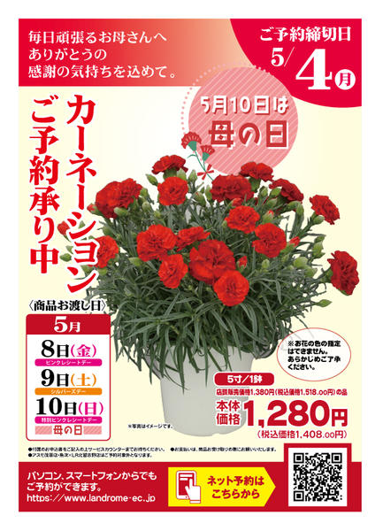2026年4月9日〜5月4日まで🌸母の日カーネーションご予約承り中🌸-1