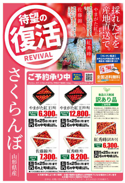 2026年5月1〜25日まで復活！さくらんぼ🍒ご注文承り中です！new-1