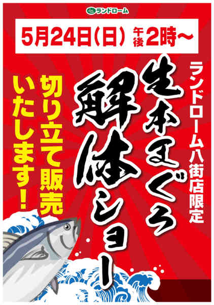 2026年5月14〜24日まで【八街店】限定企画⭐まぐろ解体ショー開催-1