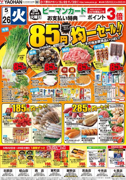 最新チラシnew-1
