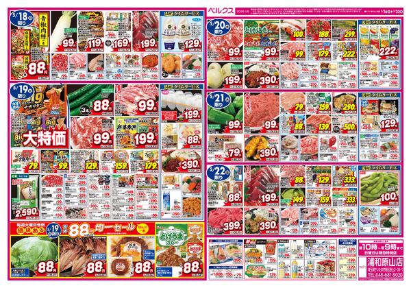 最新チラシnew-2