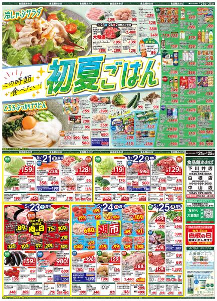 レギュラーチラシnew-1