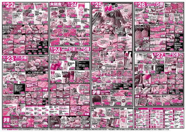 最新チラシ-2