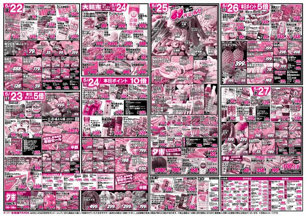 最新チラシ-2