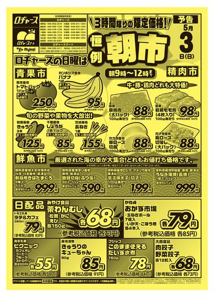折り込みチラシnew-1