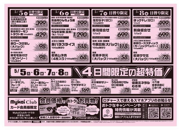 折り込みチラシnew-2