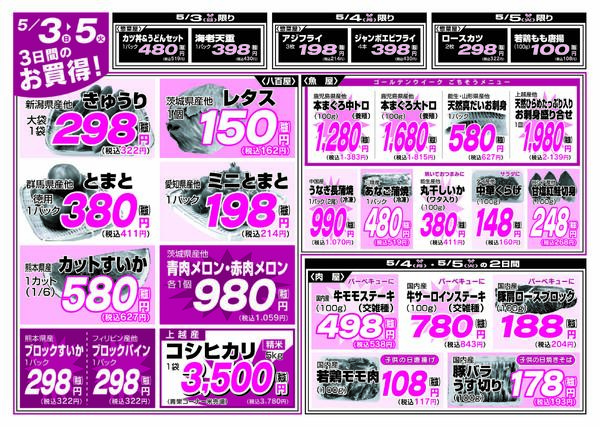 最新チラシnew-12