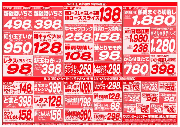 最新チラシnew-9