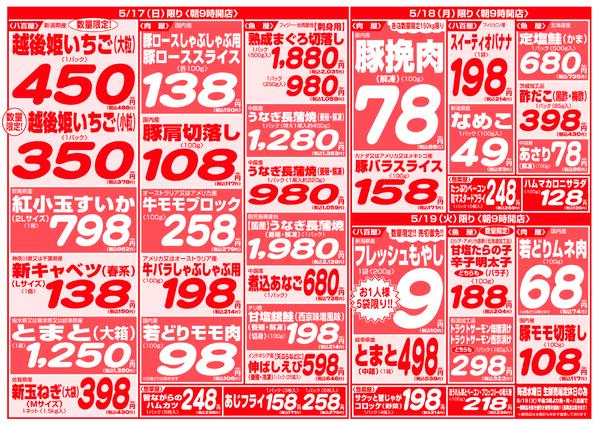 最新チラシnew-4