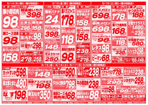 最新チラシnew-3
