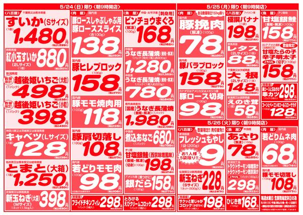 最新チラシnew-4