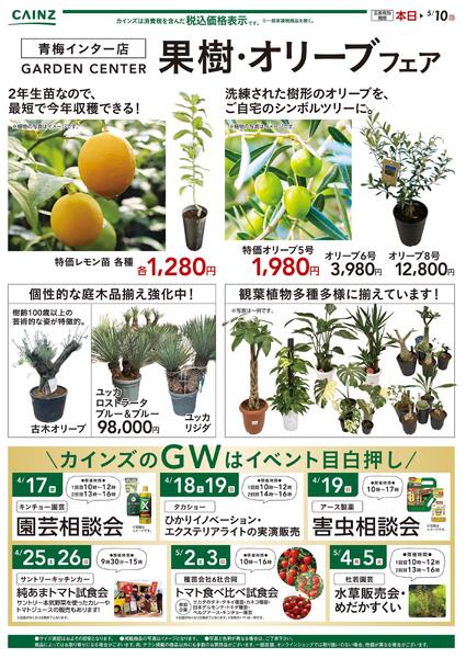 果樹・オリーブフェア-1