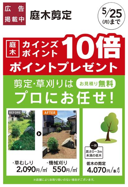 暑さ対策、省エネリフォーム-3