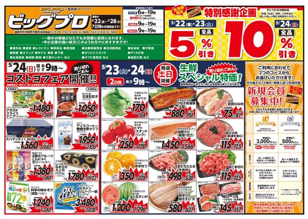 ビッグプロ-1