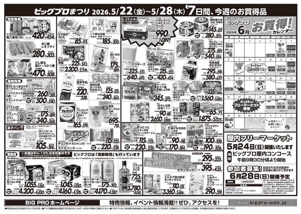 ビッグプロ-2