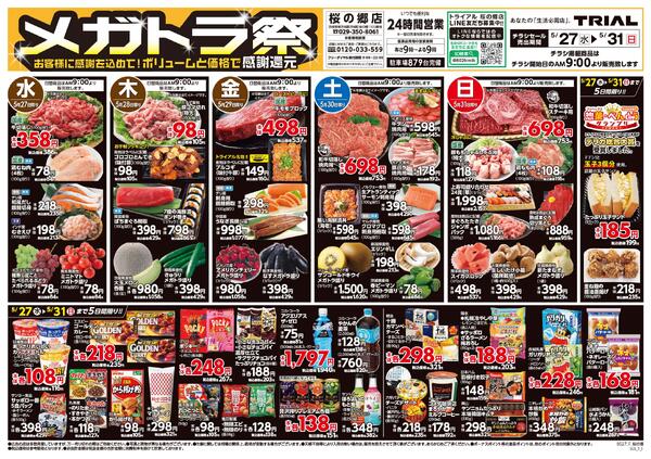 最新チラシnew-1