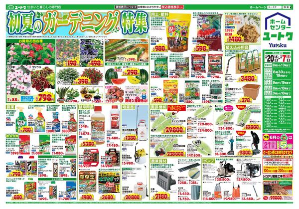初夏のガーデニング特集（5/20～6/7）-1