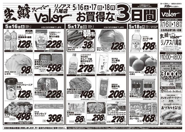 2026/5/16(土)〜2026/5/18(月)　お魚大市-2