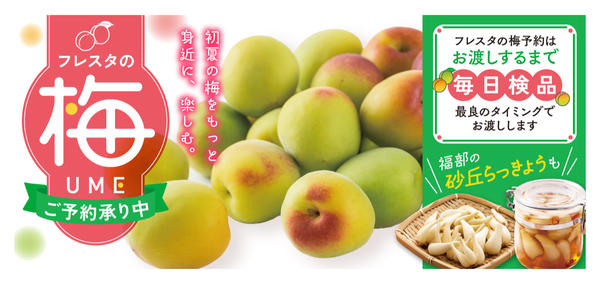2026年4月30日〜6月7日まで2026年 梅・らっきょう予約-1