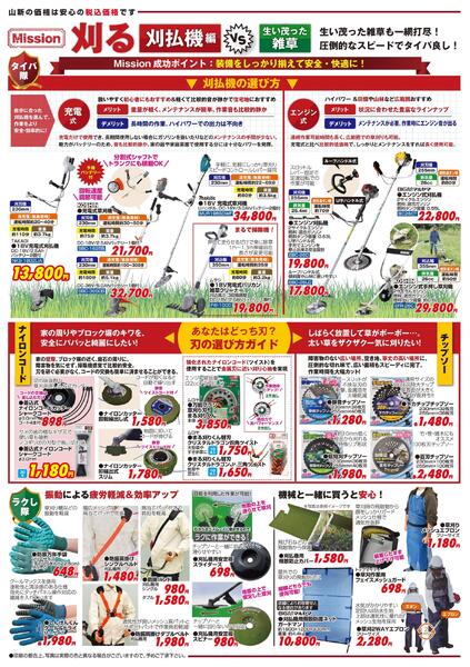 保存版雑草特集 雑草攻略（ホームセンター）-2