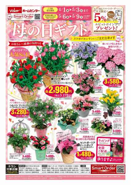2026年4月1日〜5月3日まで母の日ギフト-1