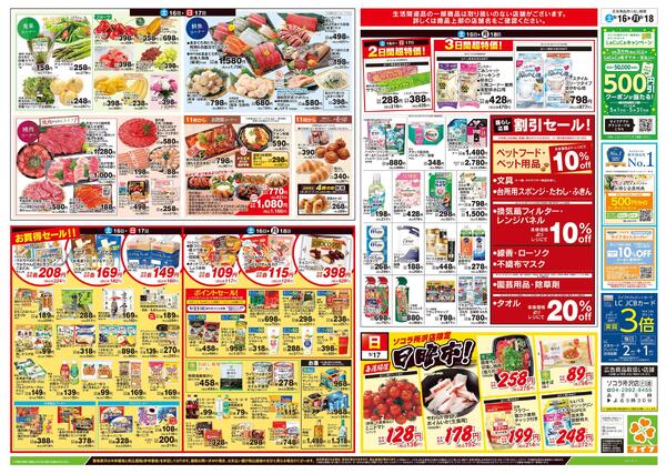 5/16号　総力祭/メロン集めました-2