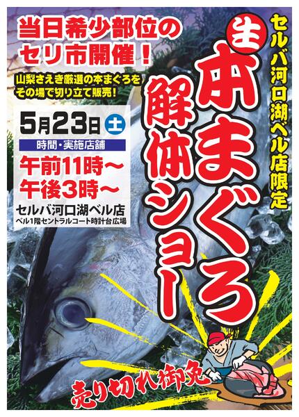 【5/23(土)】セルバ河口湖BELL店まぐろ解体ショー開催！-1
