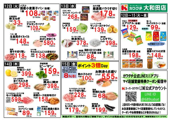 最新チラシ-2