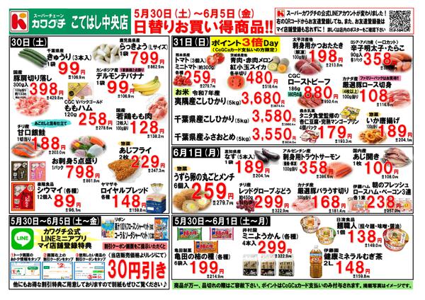 最新チラシnew-1