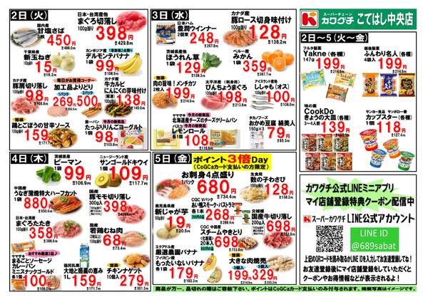 最新チラシnew-2