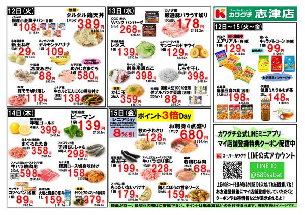 最新チラシ-2