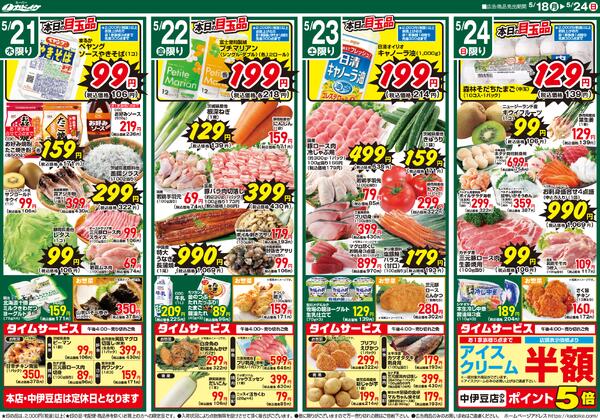 レギュラーチラシnew-2
