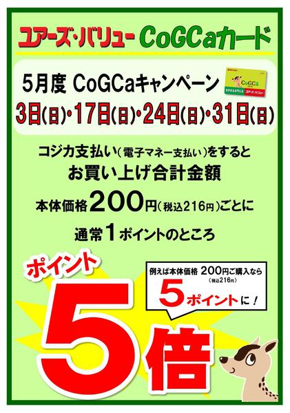 2026年5月1〜31日まで-3