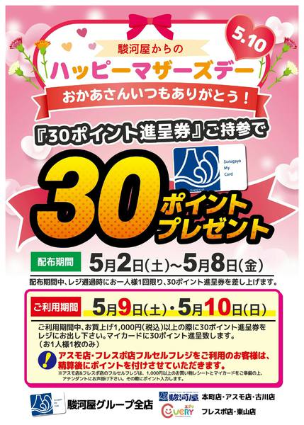 2026年5月2〜10日まで母の日！30ポイントプレゼント企画new-1